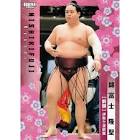 錦富士隆聖
