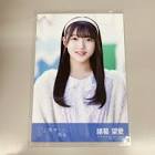 諸葛望愛
