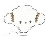 こぎみゅん