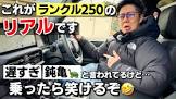 アナ社長