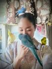 インコおばさん