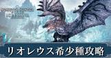 リオレウス希少種