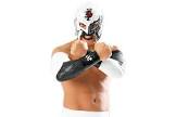 BUSHI