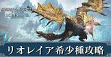 リオレイア希少種