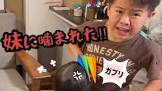 はるひなちゃんねる