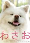 わさお (秋田犬)