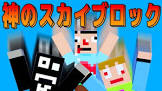 さかな (ゲーム実況)