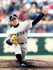 高井雄平