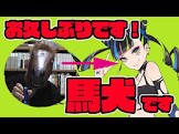 馬犬
