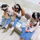 なかよしだいかぞく