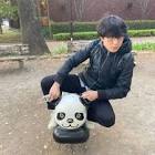 藤高智大