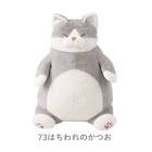 ねこはち (neko800)