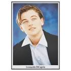 レオナルド・ディカプリオ