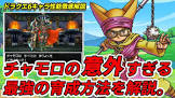 チャモロ (ドラクエ)
