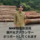瀬戸光