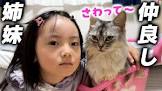 シスクとねこむす