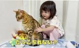 シスクとねこむす