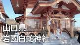 タニー山口