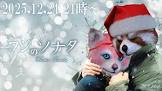 フジノワダイ