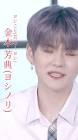 ヨシ (金本芳典)