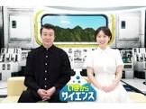 若杉亨