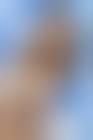 小泉梓