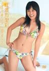 江渡万里彩