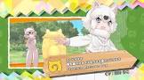 タヌキ (けものフレンズ)