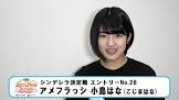 小島はな