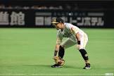 中村晃 (野球)