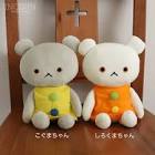 こぐまのぬい