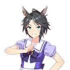 フジキセキ (ウマ娘)