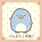 ぺんぎん（本物）