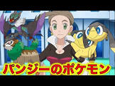 パンジー (ポケモン)