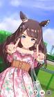 トーセンジョーダン (ウマ娘)