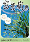 一貴蘭