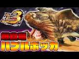 ハプルポッカ