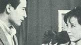 沢井正延