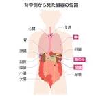 胸肩腎