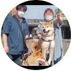 50代主婦ゆみ柴犬チャンネル
