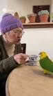 インコおばさん