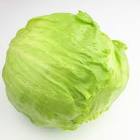 LETTUCE【れたす】