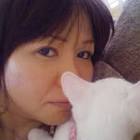 巫女ねこちゃんねる