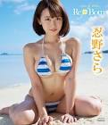 忍野さら