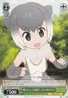 コツメカワウソ (けものフレンズ)