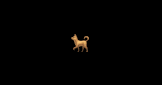 平山犬