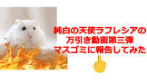 純白の天使ラフレシア
