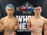 馬場豊 (飛込選手)
