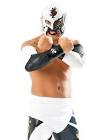 BUSHI