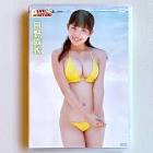 日野麻衣